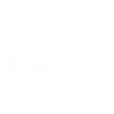 DEW MATCHA BAR